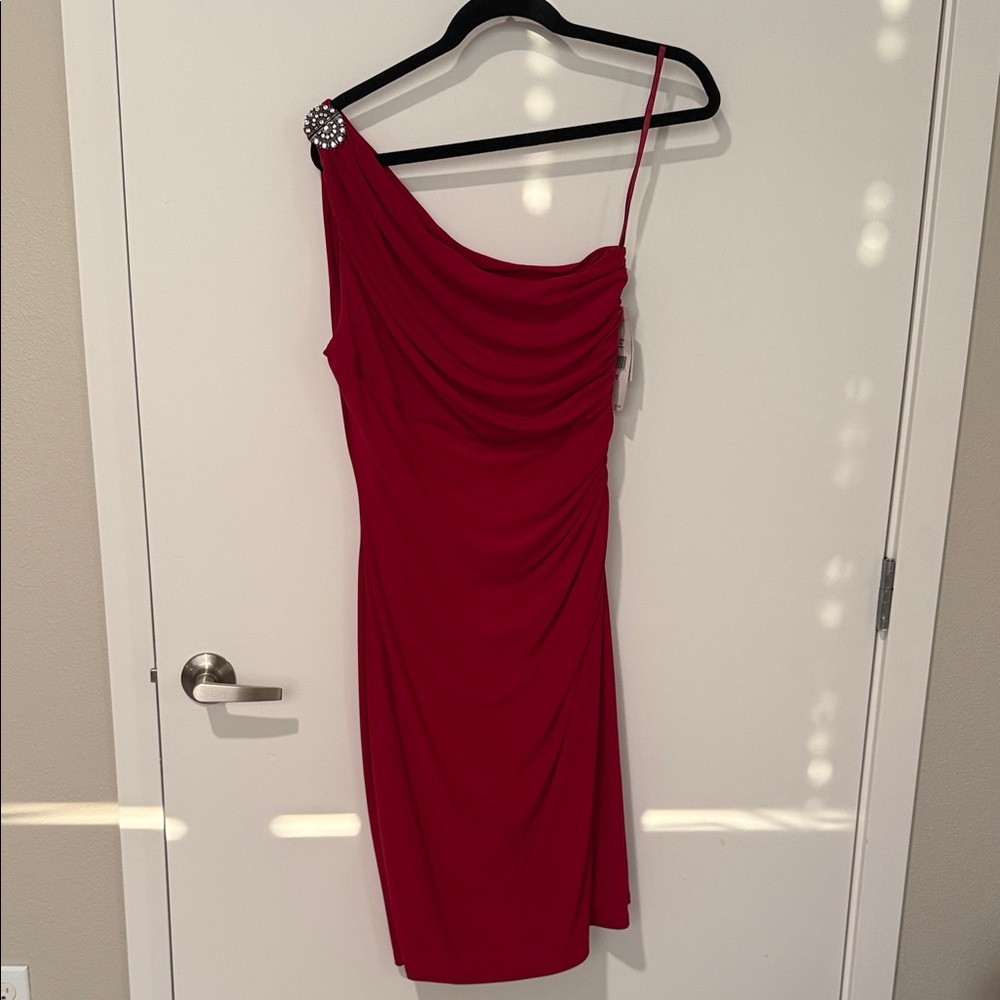 NWT Ralph Lauren dress